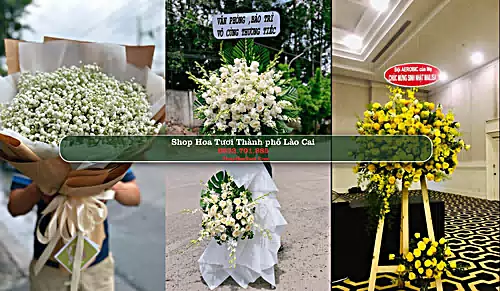 Shop Hoa Tươi Thành phố Lào Cai - Lào Cai (Cũ)