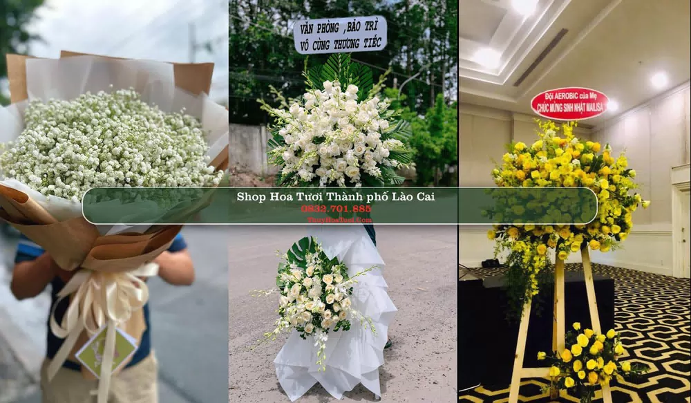 Shop Hoa Tươi Thành phố Lào Cai - Lào Cai (Cũ)