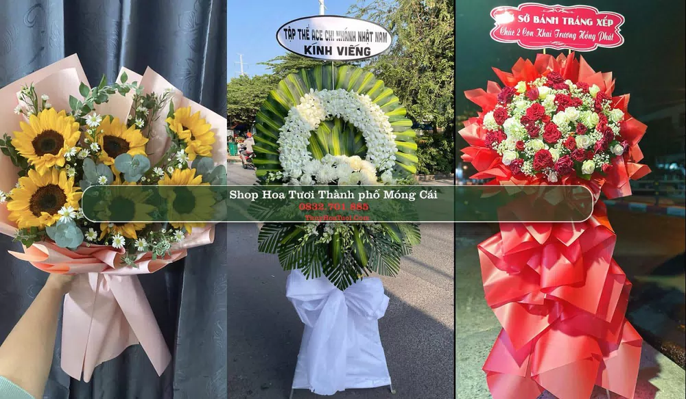 Shop Hoa Tươi Thành phố Móng Cái - Quảng Ninh (Cũ)