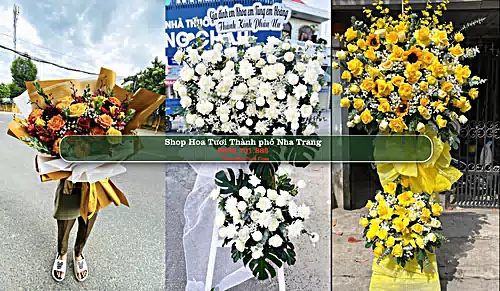 Shop Hoa Tươi Thành phố Nha Trang - Khánh Hòa (Cũ)