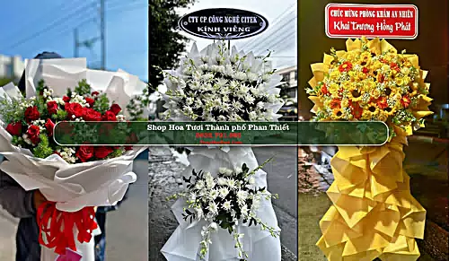 Shop Hoa Tươi Thành phố Phan Thiết - Bình Thuận (Cũ)