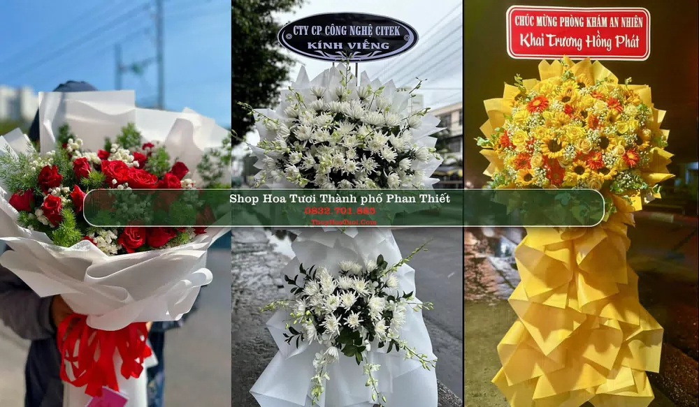 Shop Hoa Tươi Thành phố Phan Thiết - Bình Thuận (Cũ)
