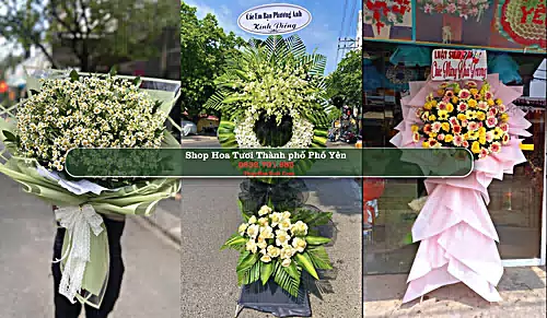 Shop Hoa Tươi Thành phố Phổ Yên - Thái Nguyên (Cũ)