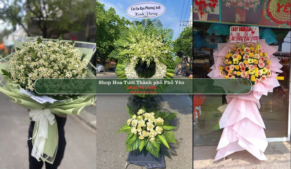 Shop Hoa Tươi Thành phố Phổ Yên - Thái Nguyên (Cũ)