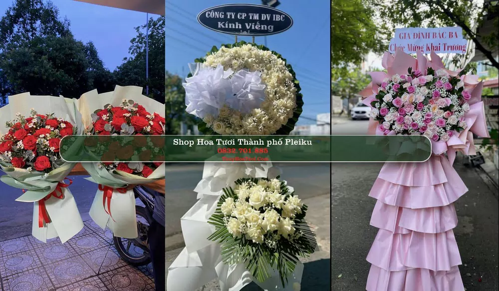 Shop Hoa Tươi Thành phố Pleiku - Gia Lai (Cũ)