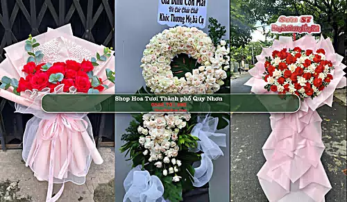 Shop Hoa Tươi Thành phố Quy Nhơn - Bình Định (Cũ)