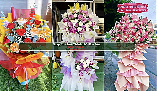 Shop Hoa Tươi Thành phố Sầm Sơn - Thanh Hóa (Cũ)