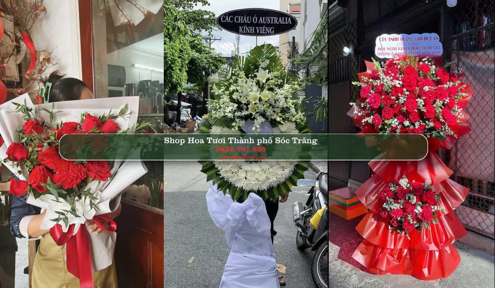 Shop Hoa Tươi Thành phố Sóc Trăng - Sóc Trăng (Cũ)