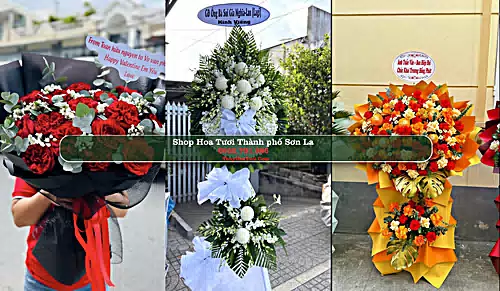 Shop Hoa Tươi Thành phố Sơn La - Sơn La (Cũ)