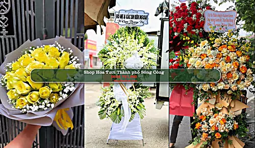 Shop Hoa Tươi Thành phố Sông Công - Thái Nguyên (Cũ)