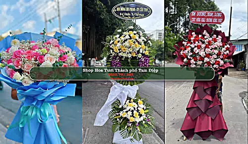 Shop Hoa Tươi Thành phố Tam Điệp - Ninh Bình (Cũ)