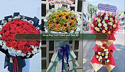 Shop Hoa Tươi Thành phố Tam Kỳ - Quảng Nam (Cũ)