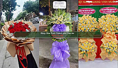 Shop Hoa Tươi Thành phố Tân An - Long An (Cũ)