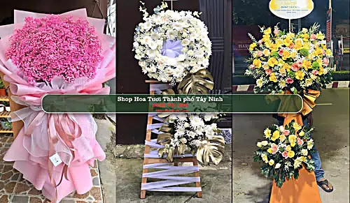 Shop Hoa Tươi Thành phố Tây Ninh - Tây Ninh (Cũ)