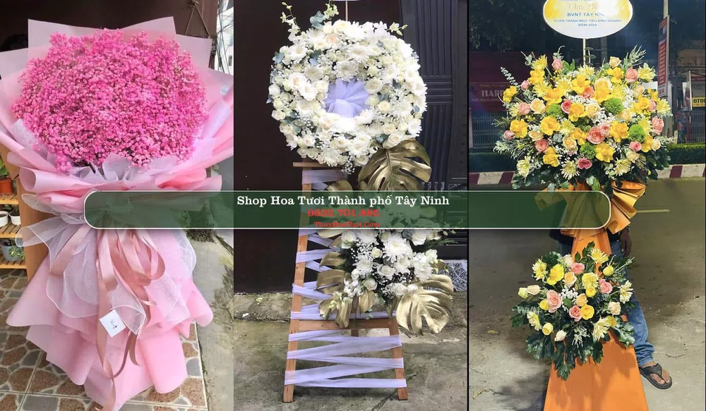 Shop Hoa Tươi Thành phố Tây Ninh - Tây Ninh (Cũ)
