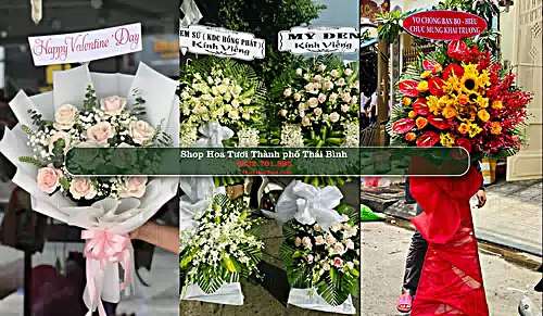 Shop Hoa Tươi Thành phố Thái Bình - Thái Bình (Cũ)