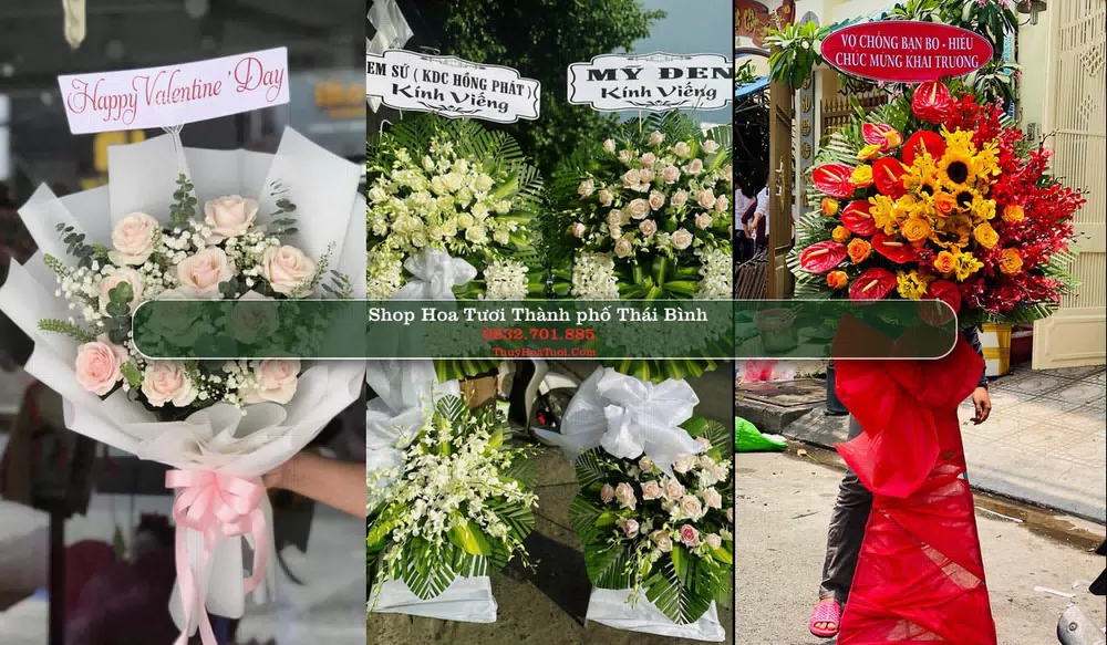 Shop Hoa Tươi Thành phố Thái Bình - Thái Bình (Cũ)