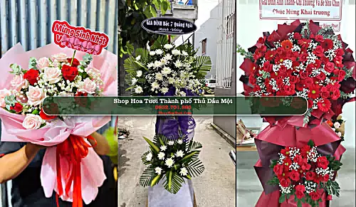 Shop Hoa Tươi Thành phố Thủ Dầu Một - Bình Dương (Cũ)