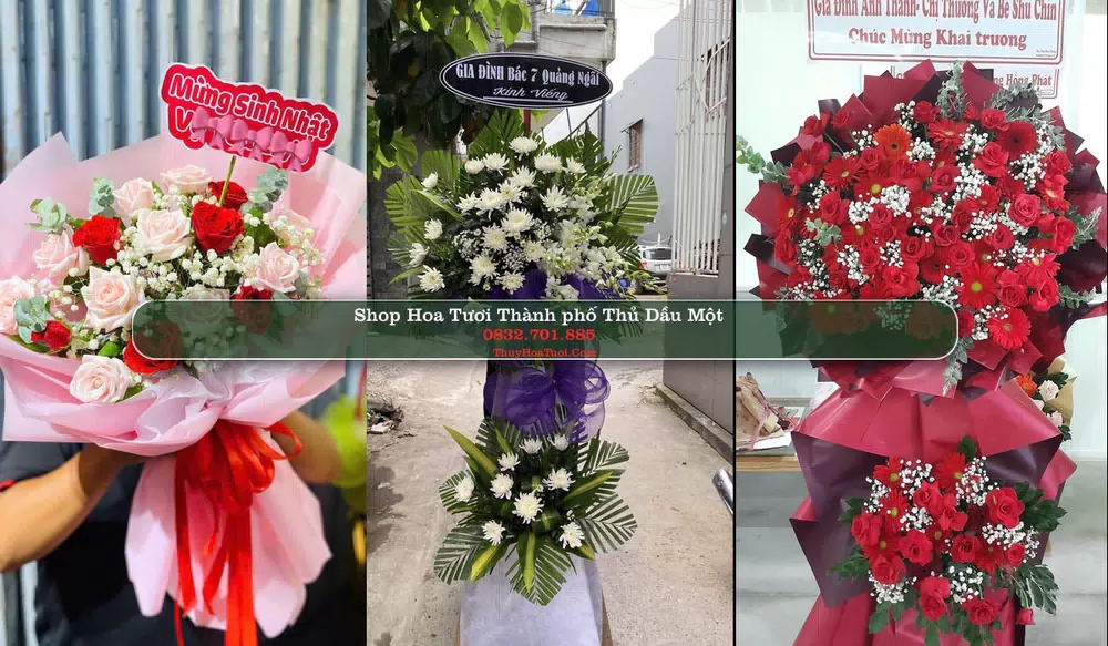 Shop Hoa Tươi Thành phố Thủ Dầu Một - Bình Dương (Cũ)