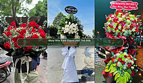 Shop Hoa Tươi Thành phố Thủ Đức - Thành phố Hồ Chí Minh (Cũ)
