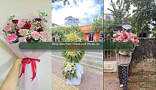 Shop Hoa Tươi Thành phố Thuận An - Bình Dương (Cũ)
