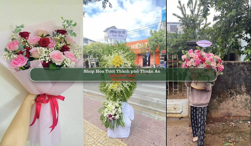 Shop Hoa Tươi Thành phố Thuận An - Bình Dương (Cũ)
