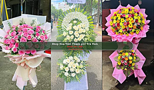 Shop Hoa Tươi Thành phố Trà Vinh - Trà Vinh (Cũ)