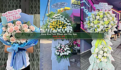 Shop Hoa Tươi Thành phố Tuy Hoà - Phú Yên (Cũ)