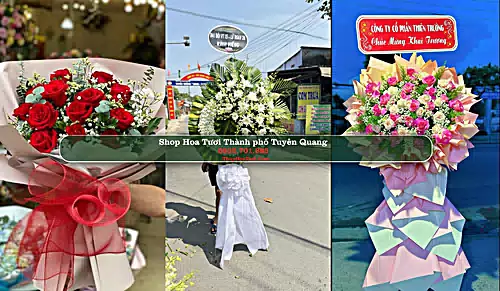 Shop Hoa Tươi Thành phố Tuyên Quang - Tuyên Quang (Cũ)