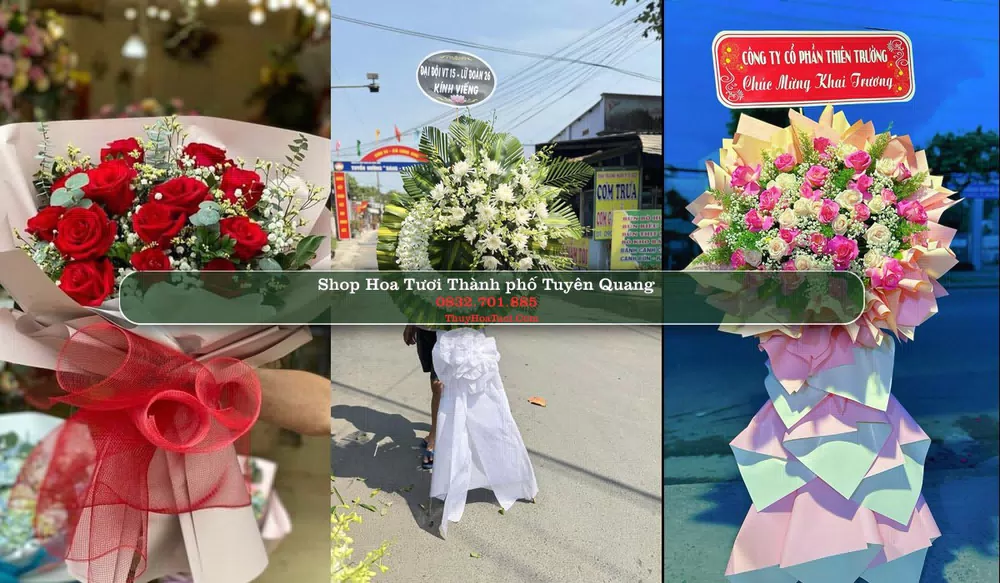 Shop Hoa Tươi Thành phố Tuyên Quang - Tuyên Quang (Cũ)