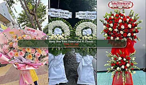 Shop Hoa Tươi Thành phố Vị Thanh - Hậu Giang (Cũ)