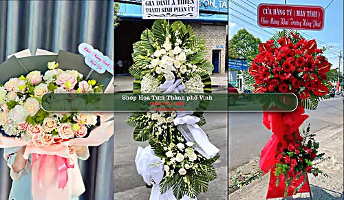 Shop Hoa Tươi Thành phố Vinh - Nghệ An (Cũ)