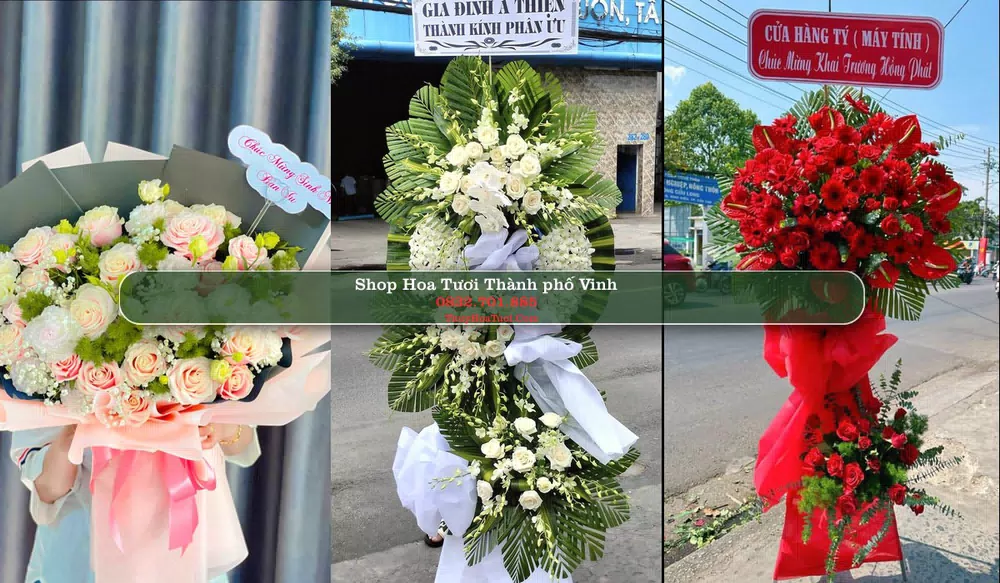 Shop Hoa Tươi Thành phố Vinh - Nghệ An (Cũ)