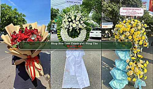 Shop Hoa Tươi Thành phố Vũng Tàu - Bà Rịa - Vũng Tàu (Cũ)