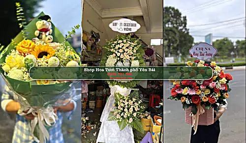 Shop Hoa Tươi Thành phố Yên Bái - Yên Bái (Cũ)