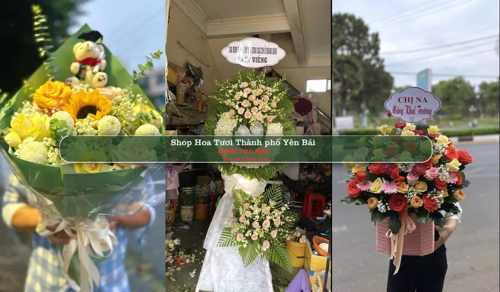 Shop Hoa Tươi Thành phố Yên Bái - Yên Bái (Cũ)