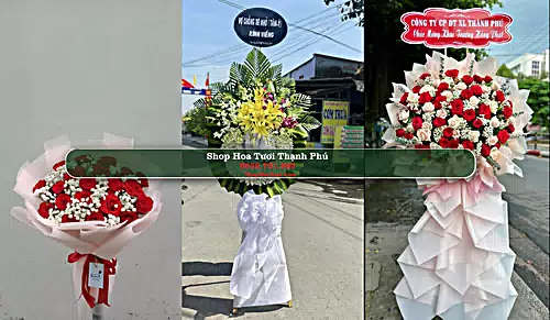Shop Hoa Tươi Thạnh Phú - Huyện Thạnh Phú (Cũ)