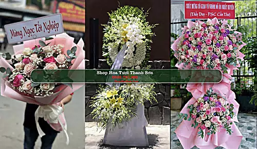 Shop Hoa Tươi Thanh Sơn - Huyện Thanh Sơn (Cũ)