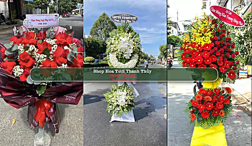 Shop Hoa Tươi Thanh Thủy - Huyện Thanh Thuỷ (Cũ)