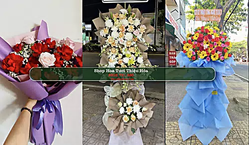 Shop Hoa Tươi Thiệu Hóa - Huyện Thiệu Hóa (Cũ)