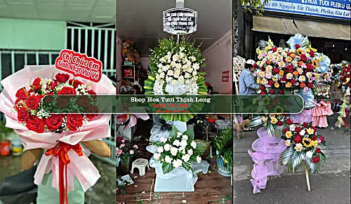 Shop Hoa Tươi Thịnh Long - Huyện Hải Hậu (Cũ)