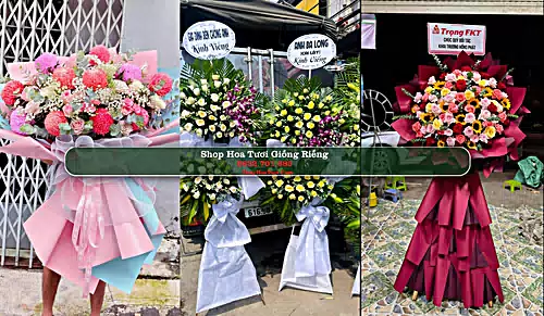 Shop Hoa Tươi Giồng Riềng - Huyện Giồng Riềng (Cũ)