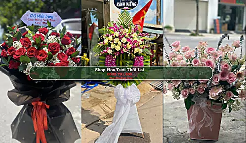 Shop Hoa Tươi Thới Lai - Huyện Thới Lai (Cũ)