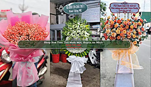 Shop Hoa Tươi Thứ Mười Một - Huyện An Minh (Cũ)