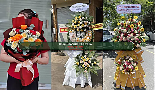 Shop Hoa Tươi Thủ Thừa - Huyện Thủ Thừa (Cũ)