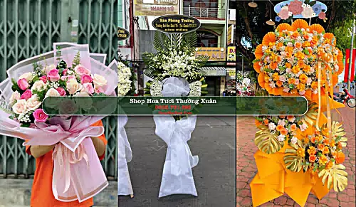 Shop Hoa Tươi Thường Xuân - Huyện Thường Xuân (Cũ)