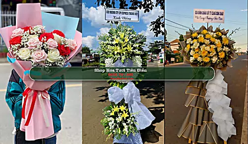 Shop Hoa Tươi Tiên Điền - Huyện Nghi Xuân (Cũ)
