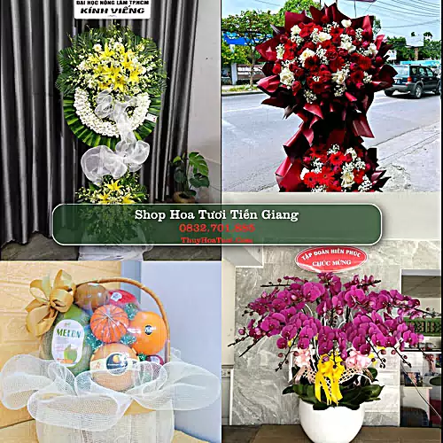Shop Hoa Tươi Tiền Giang - Hoa Đẹp Cho Mọi Dịp