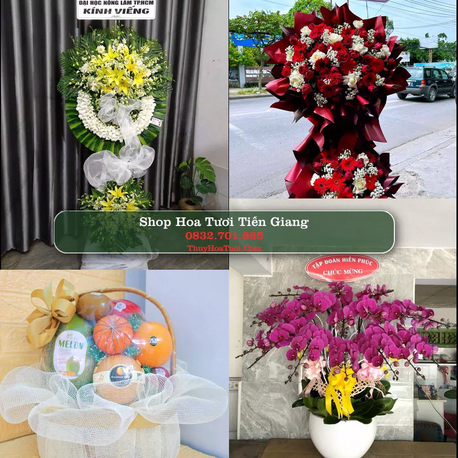 Shop Hoa Tươi Tiền Giang - Hoa Đẹp Cho Mọi Dịp