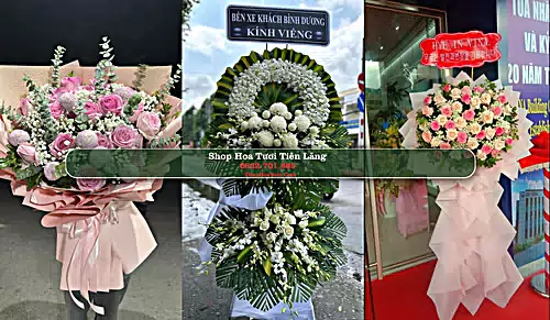 Shop Hoa Tươi Tiên Lãng - Huyện Tiên Lãng (Cũ)